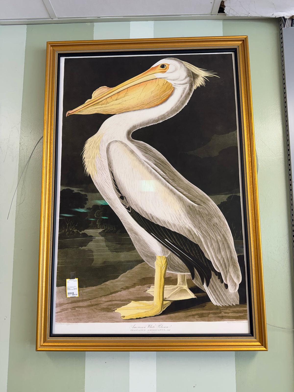 Local Art